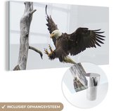 MuchoWow® Glasschilderij 80x40 cm - Schilderij acrylglas - Amerika - Vogel - Zeearend - Foto op glas - Schilderijen