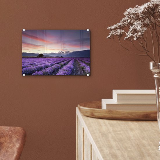 Coucher de soleil sur les lavandes Plexiglas 30x20 cm - petit - Tirage photo sur Glas (décoration murale en plexiglas)