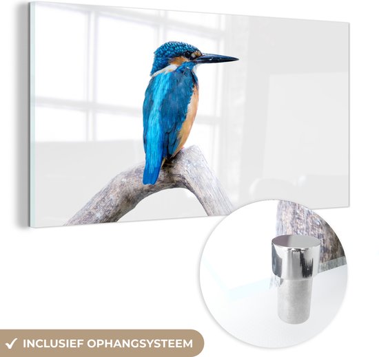 MuchoWow® Peinture sur verre 80x40 cm - Peinture sur verre acrylique - Martin-pêcheur - Branche - Bec - Photo sur verre - Peintures