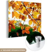 MuchoWow® Glasschilderij 20x20 cm - Schilderij acrylglas - Herfstbladeren - Boom - Landelijk - Foto op glas - Schilderijen