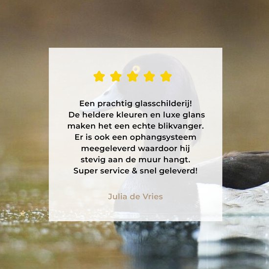 MuchoWow® Peinture sur verre 180x120 cm - Peinture sur verre - Canard tufté - Water - Vogel - Photo sur verre acrylique - Peintures