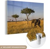 MuchoWow® Glasschilderij 180x120 cm - Schilderij acrylglas - Olifant loopt door de savanne - Foto op glas - Schilderijen