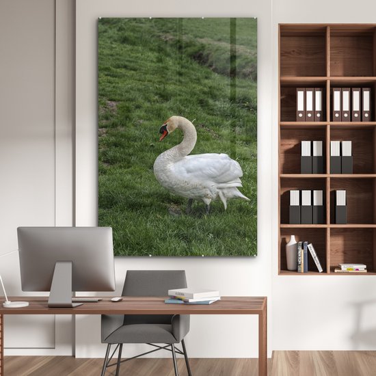 ® Glasschilderij 120x180 cm - Schilderij acrylglas - Zwaan - Gras - Natuur - Foto op glas - Muurdecoratie woonkamer - Wanddecoratie slaapkamer - Schilderijen
