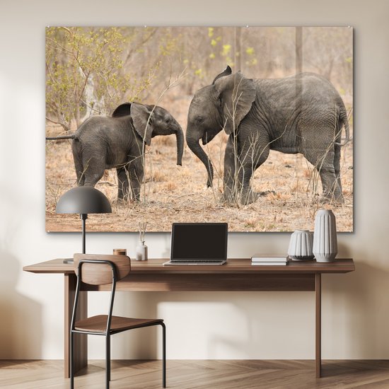 MuchoWow® Peinture sur verre - Deux jeunes éléphants - 150x100 cm - Peintures sur verre acrylique - Photo sur Glas