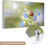 MuchoWow® Glasschilderij 40x20 cm - Schilderij acrylglas - Lieveheersbeestje - Bloem - Lente - Foto op glas - Schilderijen