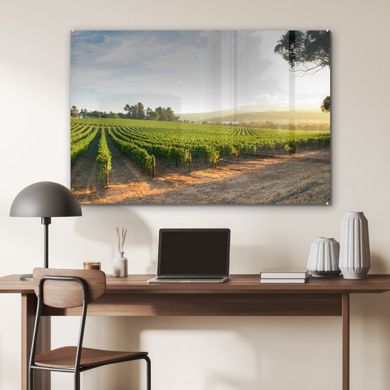 ® Glasschilderij 120x80 cm - Schilderij acrylglas - Wijngaard langs de weg - Foto op glas - Muurdecoratie woonkamer - Wanddecoratie slaapkamer - Schilderijen