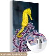 MuchoWow® Glasschilderij 120x180 cm - Schilderij acrylglas - Geel zeepaard - Foto op glas - Schilderijen