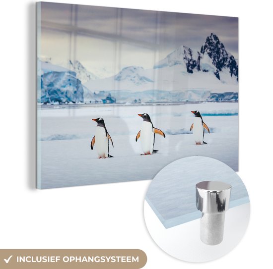 MuchoWow® Glasschilderij 120x80 cm - Schilderij acrylglas - Drie pinguïns - Foto op glas - Schilderijen