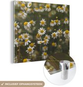 MuchoWow® Glasschilderij 20x20 cm - Schilderij acrylglas - Bloemen - Lente - Natuur - Foto op glas - Schilderijen