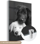 MuchoWow - Glasschilderij - Foto op glas - Muurdecoratie - Acrylglas - Dieren - Honden - Puppy - Zwart - Wit - Woonkamer - 90x120 cm - Wanddecoratie dieren - Woondecoratie - Schilderij glas