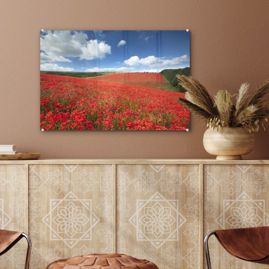 MuchoWow® Peinture sur verre 60x40 cm - Peinture sur verre acrylique - Coquelicots - Fleurs - Ciel - Photo sur verre - Peintures