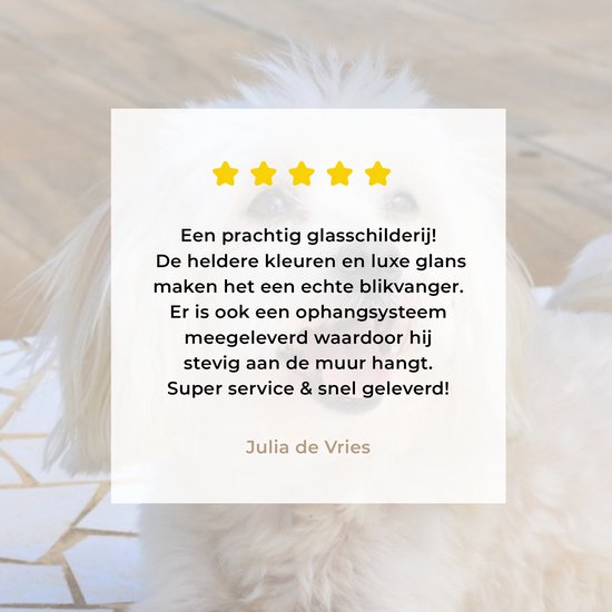 ® Glasschilderij 30x20 cm - Schilderij acrylglas - Een Maltezer hond ligt op een pad - Foto op glas - Muurdecoratie woonkamer - Wanddecoratie slaapkamer - Schilderijen