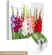 MuchoWow® Glasschilderij 20x20 cm - Schilderij acrylglas - Gladiolen - Bloemen - Kleuren - Foto op glas - Schilderijen