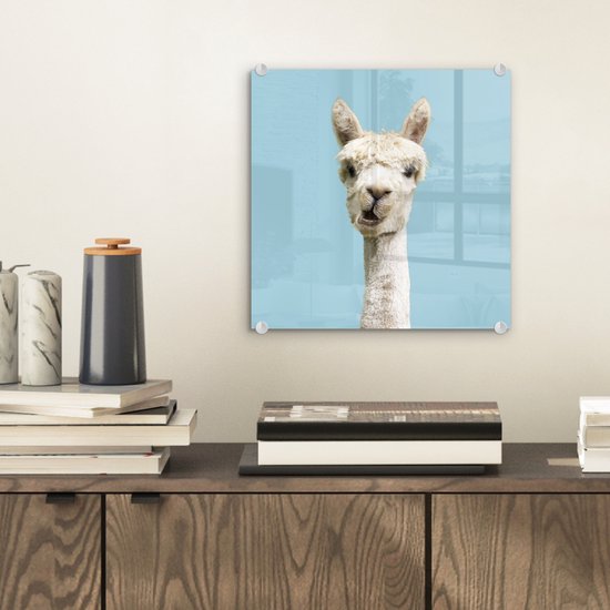 MuchoWow® Peinture sur verre 20x20 cm - Peinture sur verre acrylique - Alpaga - Wit - Blauw - Photo sur verre - Peintures