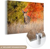 Peintures Plexiglas - Cerf - Bois - Forêt - 180x120 cm - Peinture sur verre