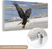 MuchoWow® Glasschilderij 160x80 cm - Schilderij acrylglas - Amerikaanse zeearend - Witkop - Vliegend - Vogel - Adelaar - Vis - Foto op glas - Schilderijen
