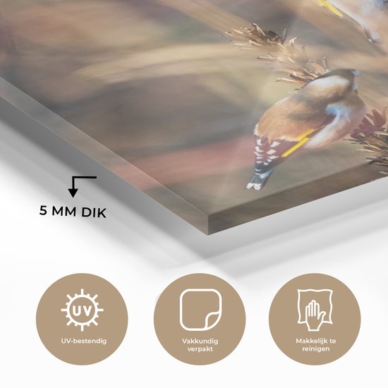 Peinture sur Verre - Vogels - Branches - Forêt - 90x120 cm - Peintures sur Verre Peintures - Photo sur Glas