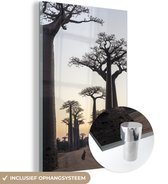 MuchoWow® Glasschilderij 40x60 cm - Schilderij acrylglas - Lopend tussen immense baobab bomen in Madagaskar - Foto op glas - Schilderijen