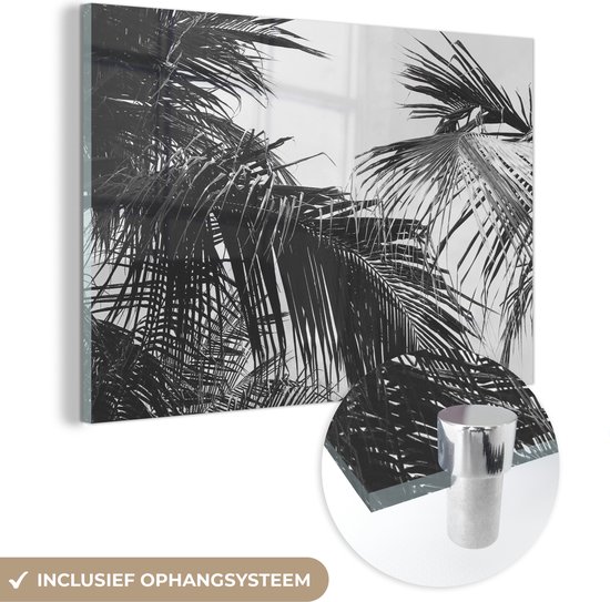MuchoWow® Peinture sur verre 60x40 cm - Peinture sur verre acrylique - Feuilles de palmier - Nature - Vintage - Palmier - Photo sur verre - Peintures