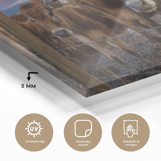 MuchoWow® Peinture sur Verre - Vache - Animaux - Vaches - 120x60 cm - Peintures sur Verre Acrylique - Photo sur Glas