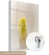 Coupe de chicorée sur fond blanc Plexiglas 120x160 cm - Tirage photo sur Glas (décoration murale plexiglas) XXL / Groot format!