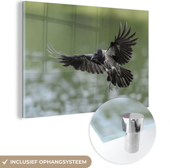 Glasschilderij - Vogel - Kraai - Water - Plexiglas Schilderijen