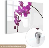 MuchoWow® Glasschilderij 90x60 cm - Schilderij acrylglas - Orchidee tegen witte achtergrond - Foto op glas - Schilderijen