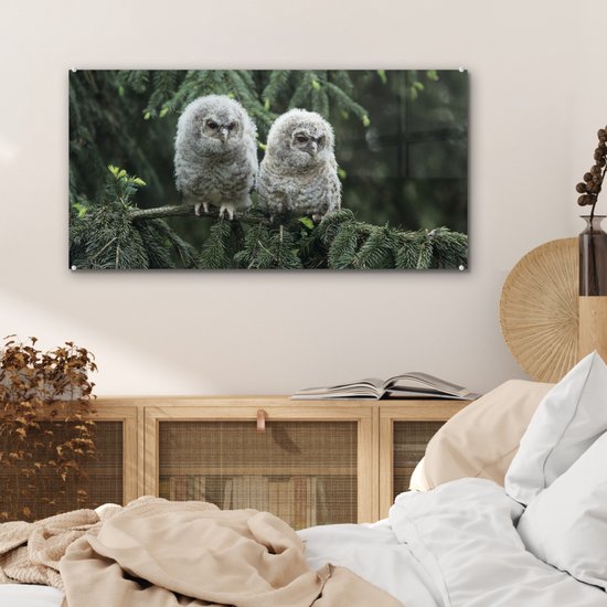MuchoWow® Peinture sur verre 80x40 cm - Peinture sur verre acrylique - Deux hiboux - Photo sur verre - Peintures