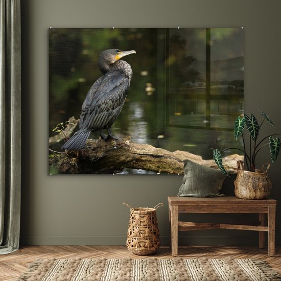 MuchoWow® Peinture sur Verre - Vogel - Branche - Water - Animaux - Cormoran - 160x120 cm - Peintures sur Verre Acrylique - Photo sur Glas