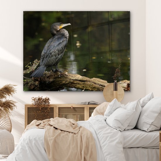 MuchoWow® Peinture sur Verre - Vogel - Branche - Water - Animaux - Cormoran - 160x120 cm - Peintures sur Verre Acrylique - Photo sur Glas