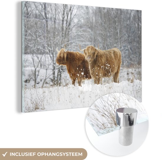 MuchoWow® Glasschilderij 90x60 cm - Schilderij acrylglas - Schotse Hooglander - Bos - Winter - Foto op glas - Schilderijen
