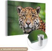 Verre léopard en gros plan 30x20 cm - petit - Tirage photo sur verre (décoration murale en plexiglas)