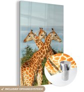 MuchoWow® Glasschilderij 60x90 cm - Schilderij acrylglas - Giraffen - Lucht - Dieren - Foto op glas - Schilderijen
