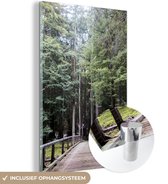 MuchoWow® Glasschilderij 80x120 cm - Schilderij acrylglas - Gang door bomen in bos Big Sur in Verenigde Staten - Foto op glas - Schilderijen