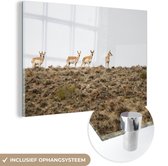 MuchoWow® Glasschilderij 90x60 cm - Schilderij acrylglas - Herten - Natuur - Berg - Foto op glas - Schilderijen