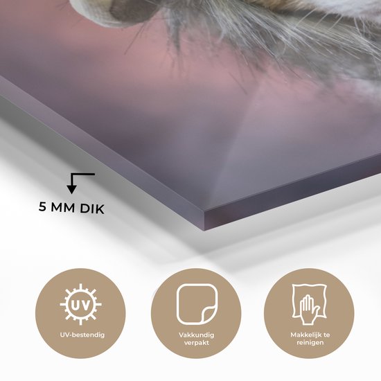 MuchoWow® Peinture sur Verre - Chat - Costume - Lion - 120x80 cm - Peintures sur Verre Acrylique - Photo sur Glas