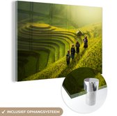 MuchoWow® Glasschilderij 60x40 cm - Schilderij acrylglas - Boeren op rijstvelden - Foto op glas - Schilderijen