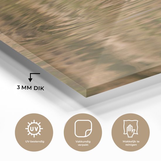 Peinture sur verre - Grèbe nage dans l'eau avec ses petits - 60x40 cm - Peintures sur Verre Peintures - Photo sur Glas