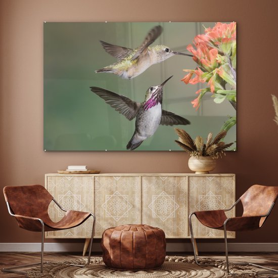 MuchoWow® Glasschilderij 150x100 cm - Schilderij acrylglas - Kolibrie - Vogels - Bloem - Foto op glas - Schilderijen