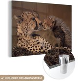 MuchoWow® Glasschilderij 150x100 cm - Schilderij acrylglas - Cheeta moeder en welp - Foto op glas - Schilderijen
