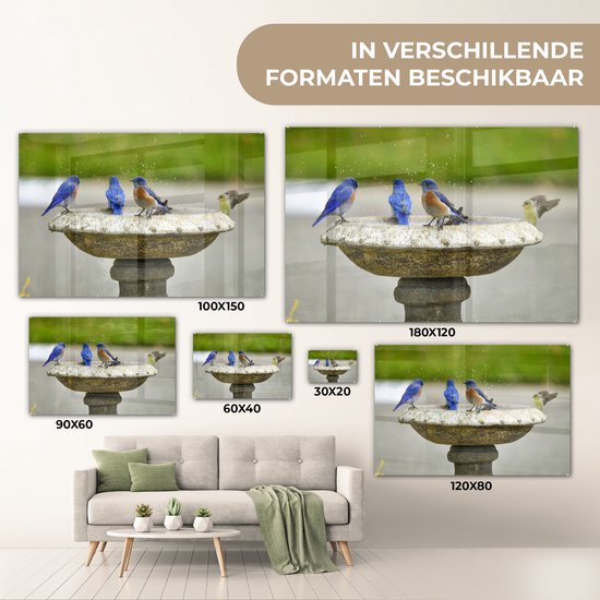 MuchoWow® Peinture sur verre 150x100 cm - Peinture sur verre acrylique - Vogel - Bain d'oiseaux - Water - Photo sur verre - Peintures