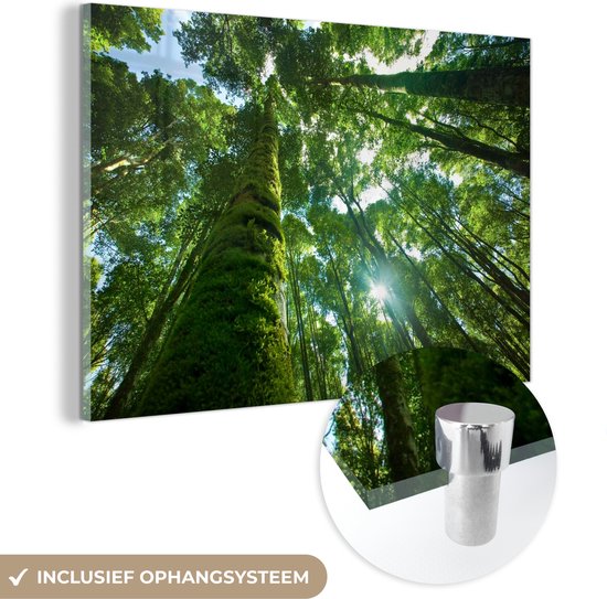 MuchoWow® Glasschilderij 150x100 cm - Schilderij acrylglas - Tropische jungle in Azie - Foto op glas - Schilderijen