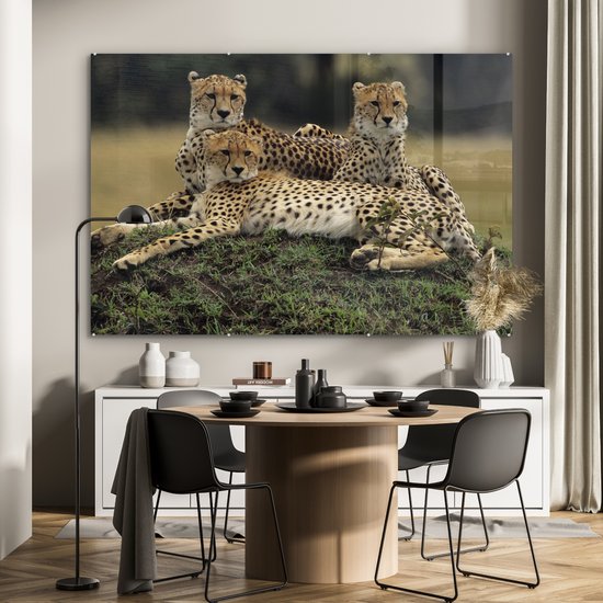 Peinture sur Verre - Trois Guépards dans la savanne - 150x100 cm - Peintures sur Verre Peintures - Photo sur Glas