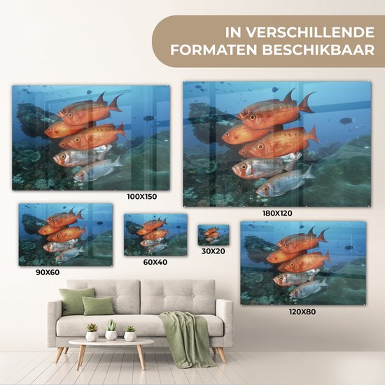 Poisson rouge et gris près de l' Afrique Glas 120x80 cm - Tirage photo sur Glas (décoration murale plexiglas)