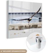 MuchoWow® Glasschilderij 90x90 cm - Schilderij acrylglas - Vogel - Vliegen - Adelaar - Foto op glas - Schilderijen