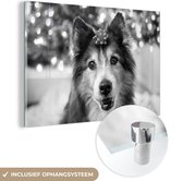 MuchoWow® Glasschilderij 90x60 cm - Schilderij acrylglas - Hond met een strikje - zwart wit - Foto op glas - Schilderijen
