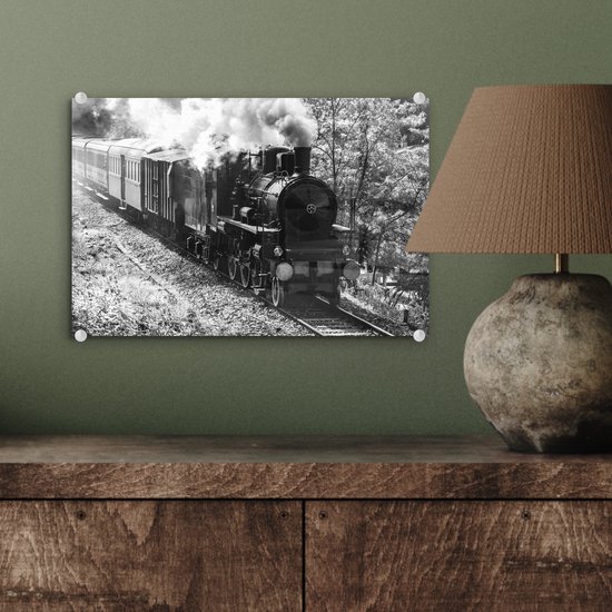 MuchoWow® Peinture sur verre 30x20 cm - Peinture sur verre acrylique - Photo Zwart et blanc d'un train à vapeur au milieu des prés - noir et blanc - Photo sur verre - Peintures
