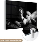 MuchoWow® Glasschilderij 90x60 cm - Schilderij acrylglas - Een leeuw en een leeuwin samen - zwart-wit - zwart wit - Foto op glas - Schilderijen