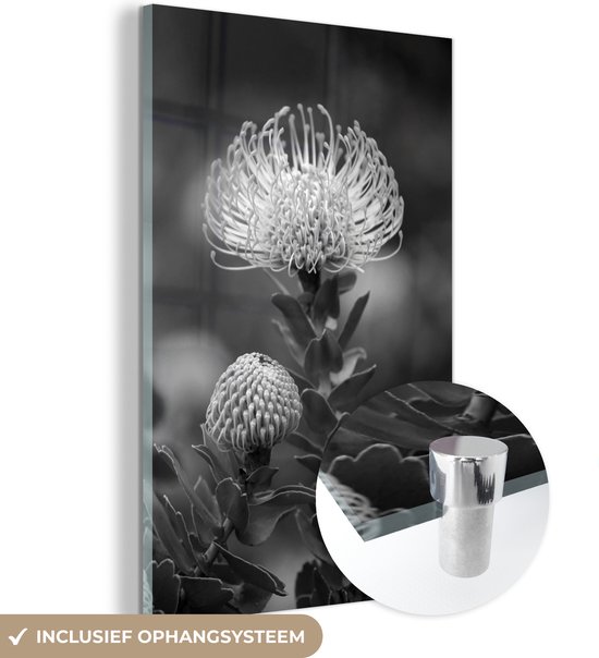MuchoWow® Glasschilderij 80x120 cm - Schilderij acrylglas - Bloeiende Nutan bloem - zwart wit - Foto op glas - Schilderijen