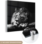 Peinture sur verre - Lion - Arbre - Dormant - Zwart - Wit - 90x90 cm - Peintures Plexiglas